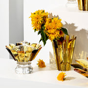 Fruit Platter (Large)